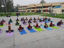 Yoga Day 2023