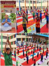 YOGA DAY 2023