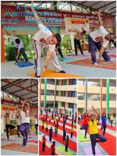 Yoga Day 2023